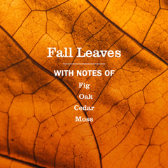 Fall Leaves Multi-Surface Everyday Cleaner