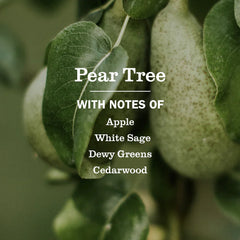 Pear Tree Room Freshener