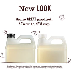 Oat Blossom Liquid Hand Soap Refill