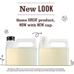 Peony Dish Soap Refill