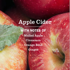 Apple Cider Liquid Hand Soap