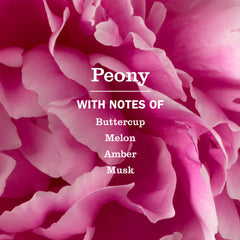 Peony Multi-Surface Concentrate