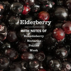 Elderberry Liquid Hand Soap