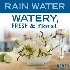 Rain Water Laundry Detergent