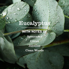 Eucalyptus Multi-Surface Everyday Cleaner
