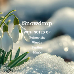 Snowdrop Liquid Hand Soap